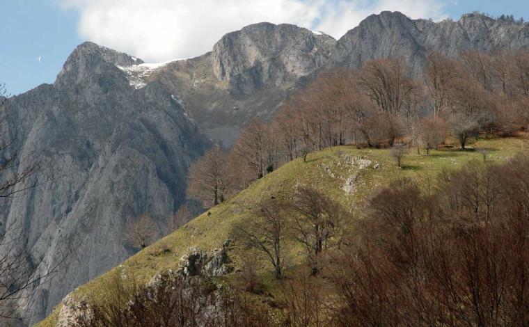 Au coeur des Pyrénées